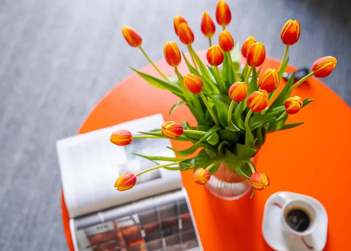 Apartahotel Ind.u 3*